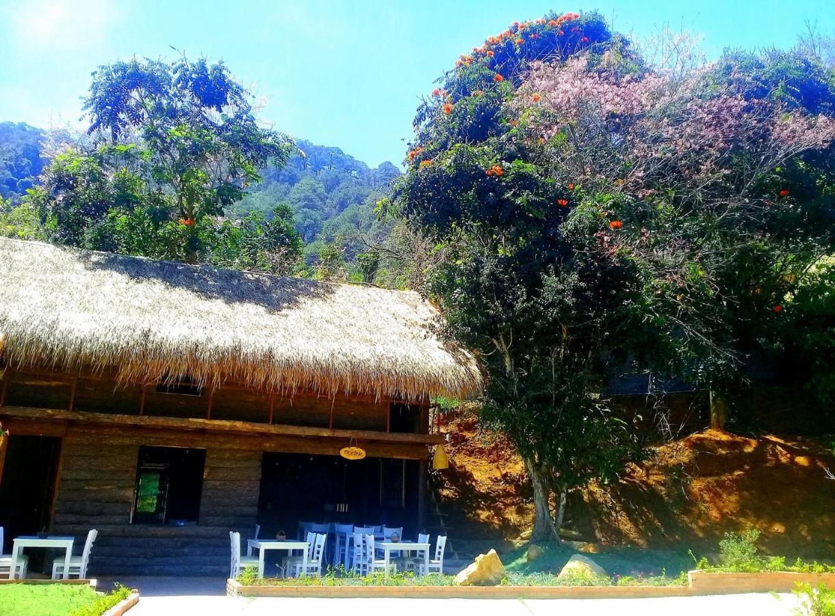 Resort Dalach Noah Farm