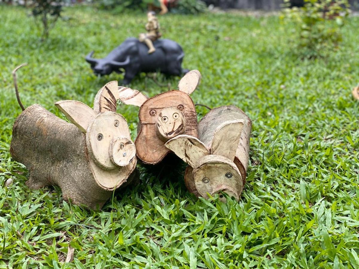 Tam Coc La Montagne &