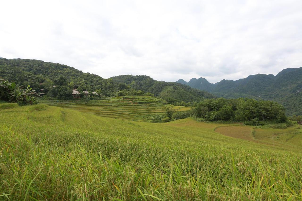 Lodge Pu Luong Ecolodge