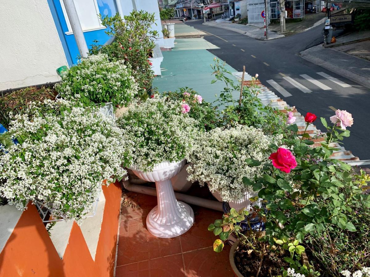 Homestay Ahihi Da Lat