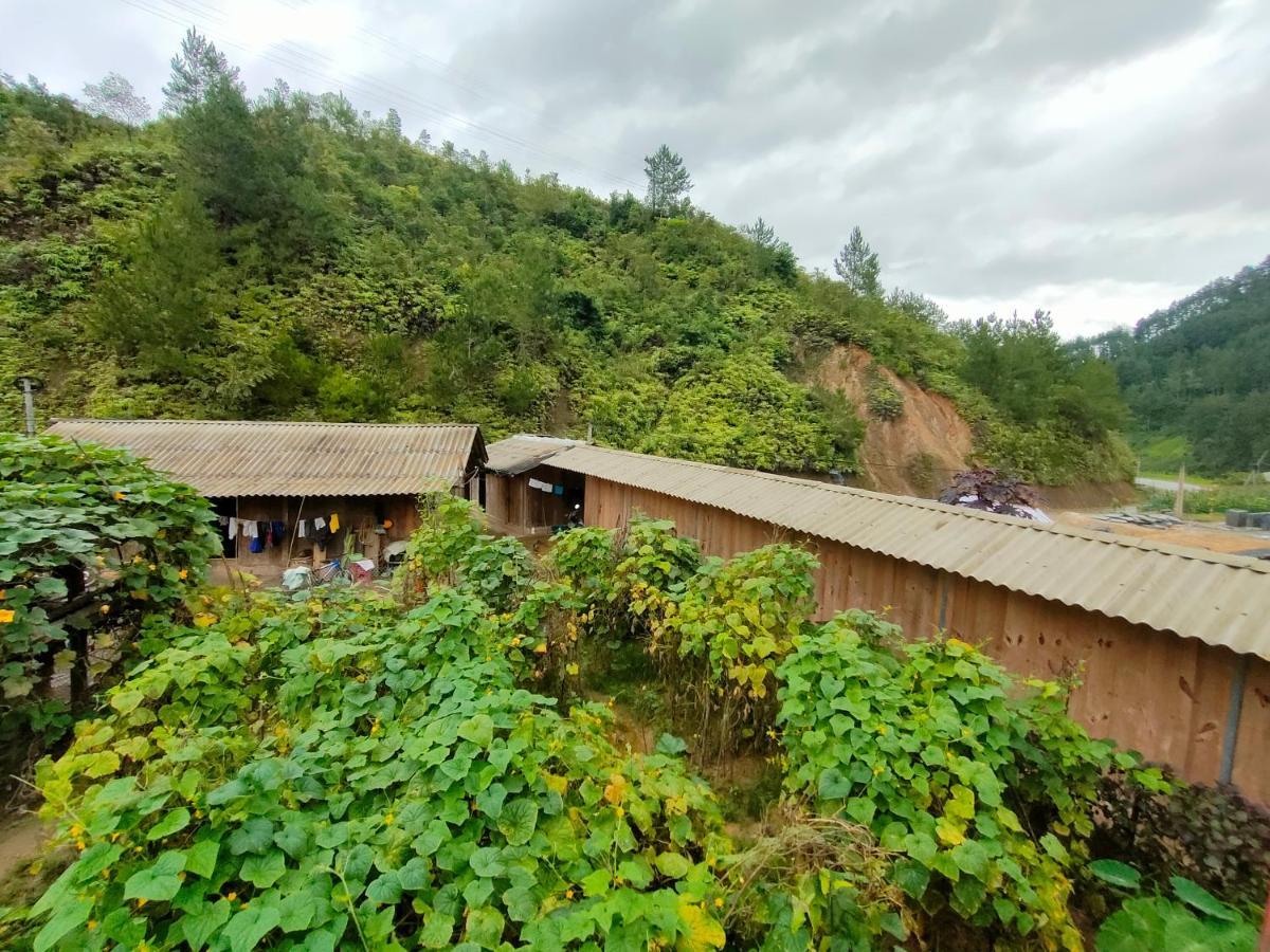 Backpacker Mu Cang Chai