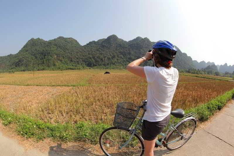 Heritage Line Violet Cruise - Halong Bay & Lan Ha Bay 5*