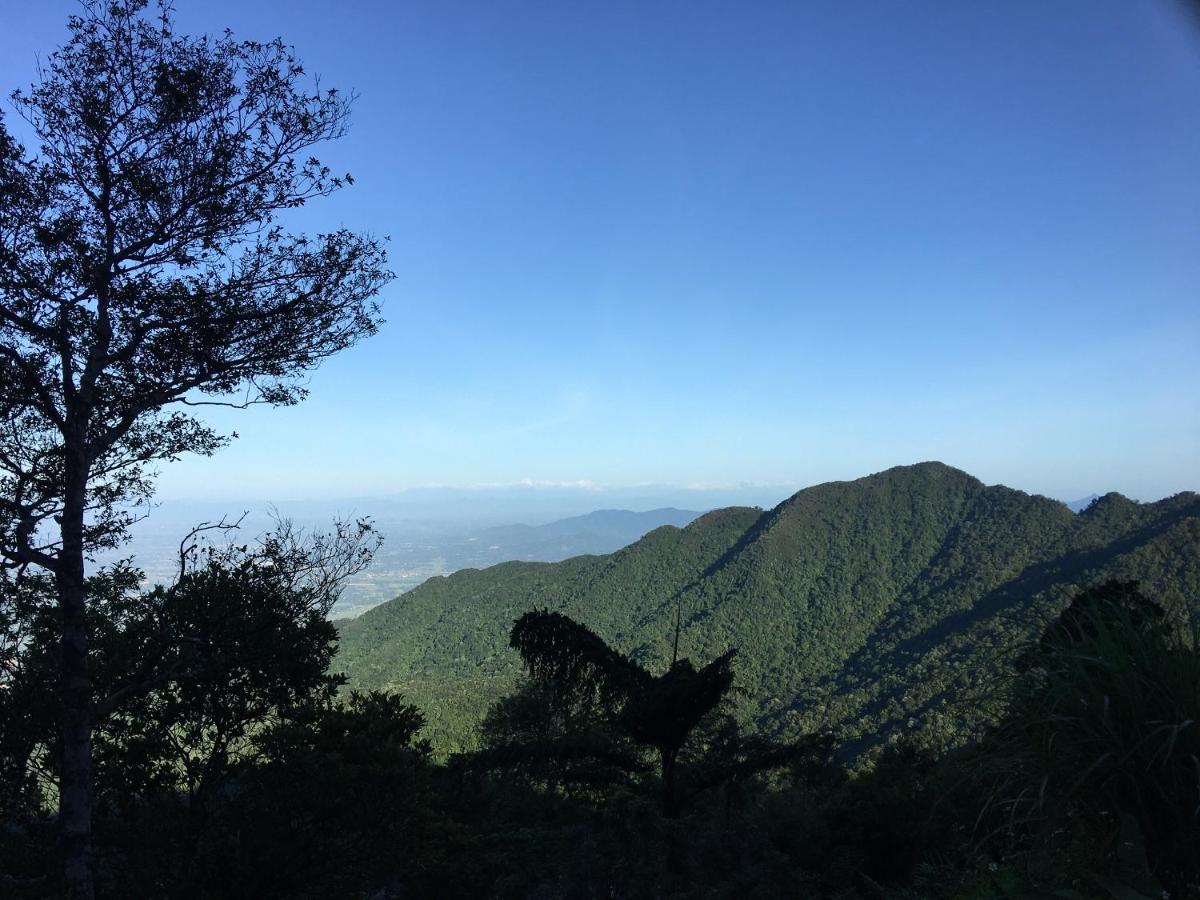 Chan Tam Dao