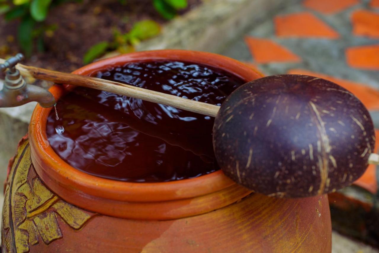 Kiki Coconut Phú Quốc