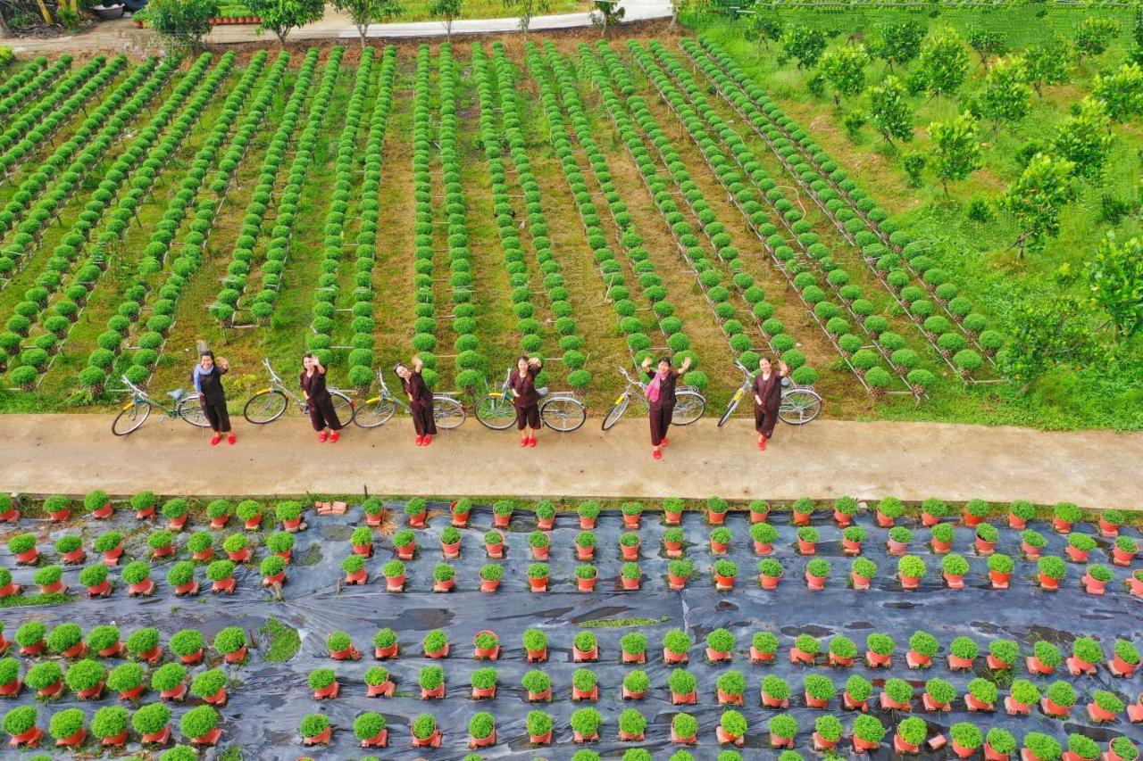 Rooster Mekong Garden & Ben Tre