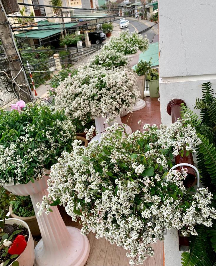 Ahihi Da Lat