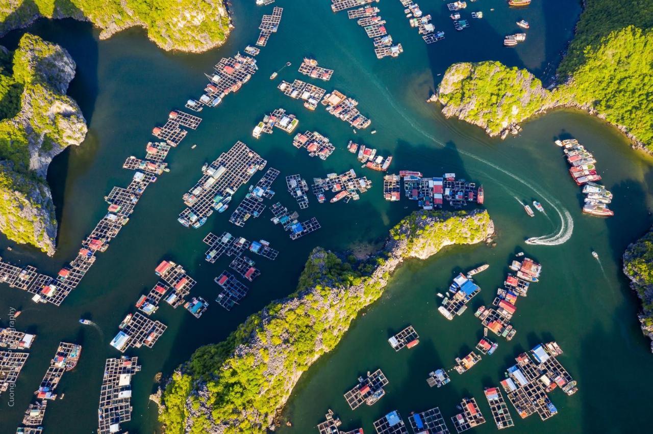 Heritage Cruises Binh Chuan Cat Ba Archipelago 
