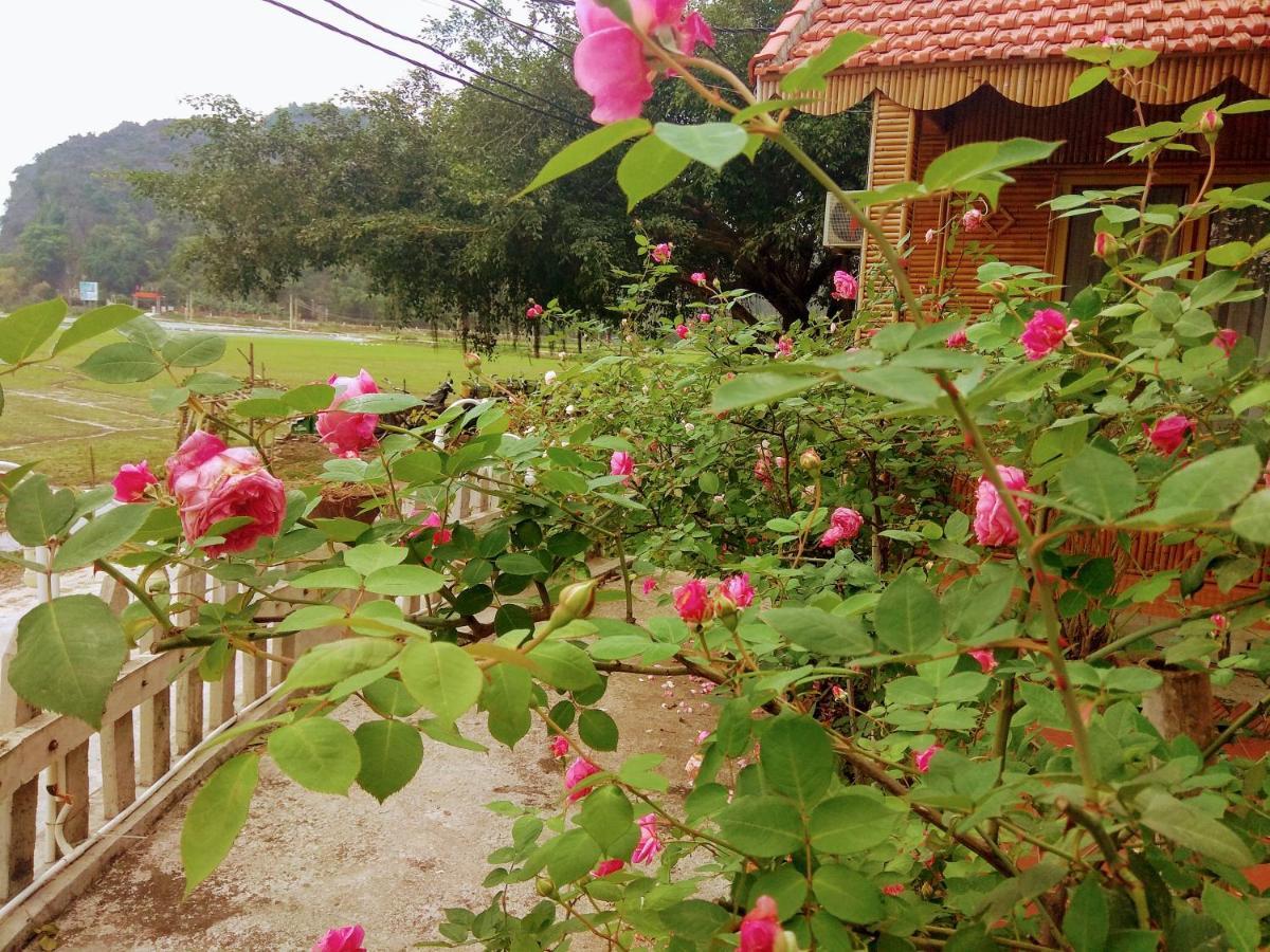 Lodge Tam Coc Eco Field Homes Ninh Binh