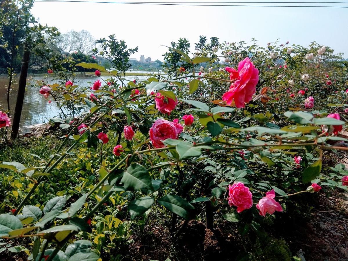 Lodge Tam Coc Eco Field Homes *