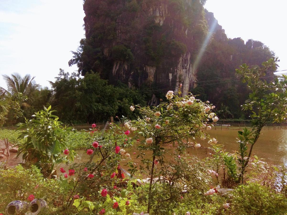 Tam Coc Eco Field Homes Lodge Ninh Binh