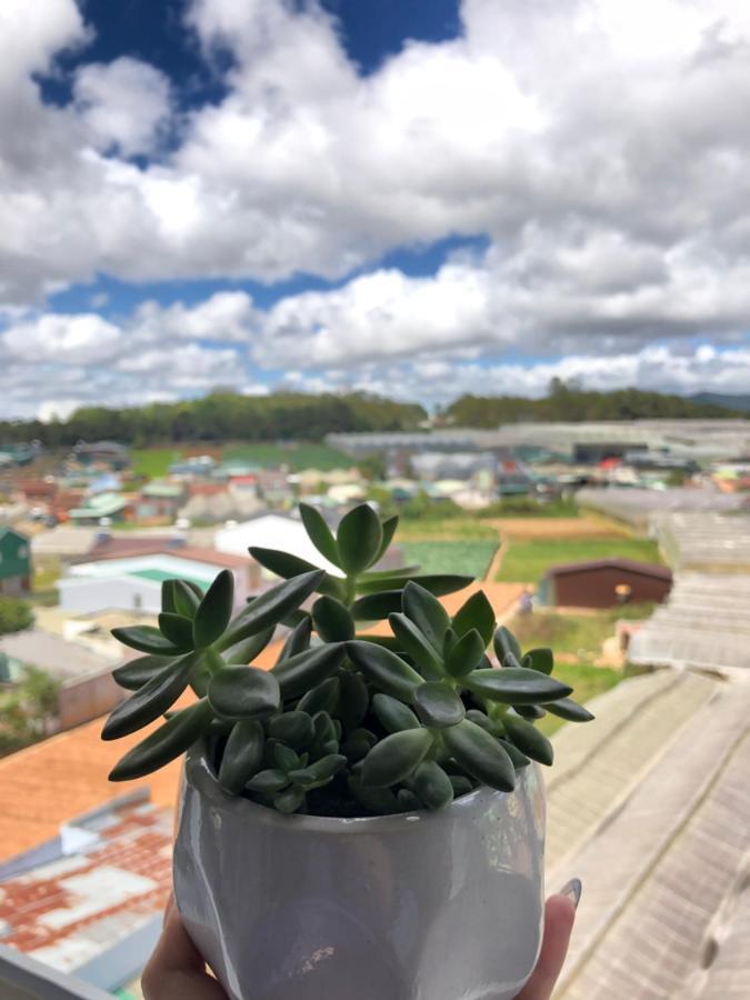 Homestay I'm In Dalat