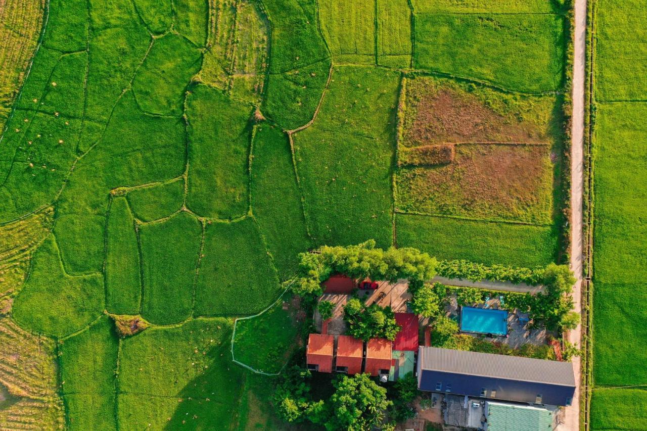 Homestay Jungle Boss Travel Phong Nha