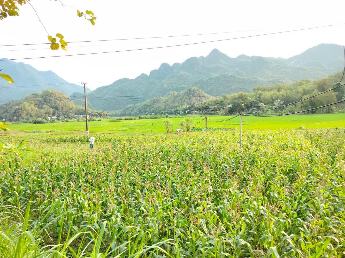 Truong Huy Mai Châu
