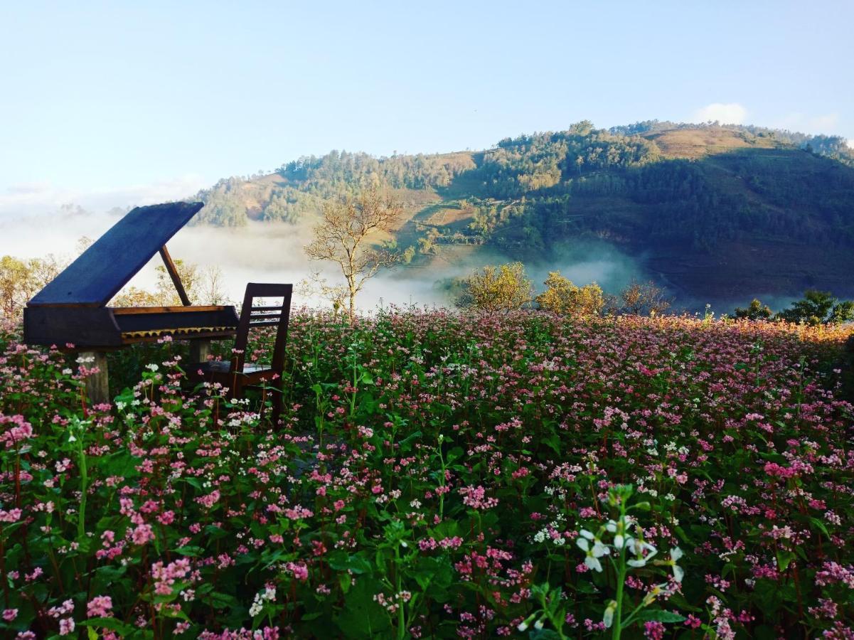 Big View Homestay, Tour & Vegetarian