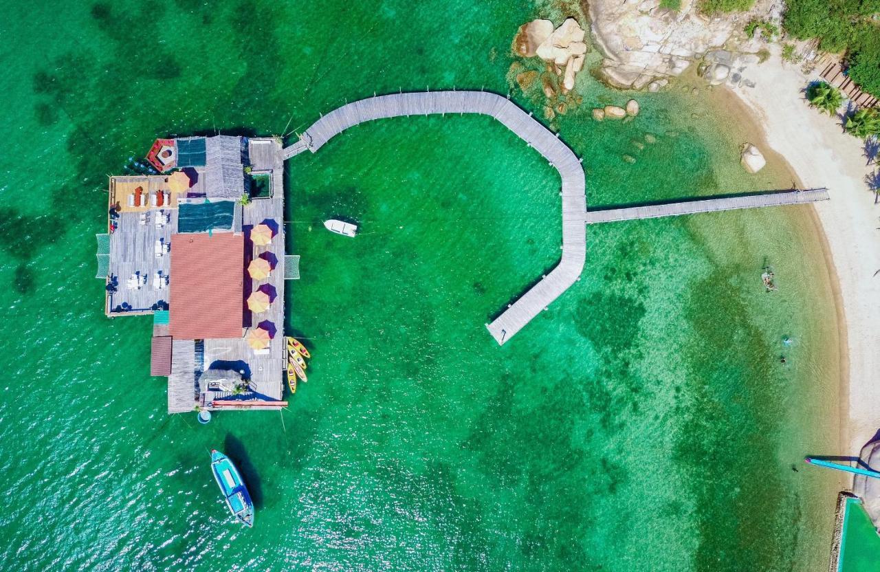 Sao Bien - Starfish Cam Ranh