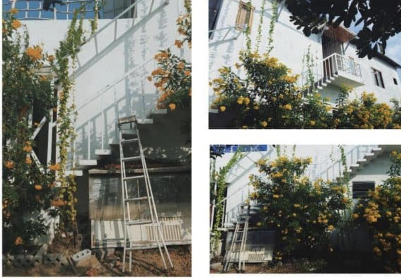 Dao Hoa Vang - Venuestay Homestay *