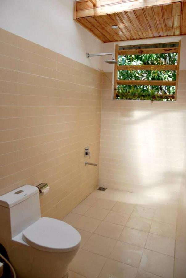 Dao Hoa Vang - Venuestay Homestay *