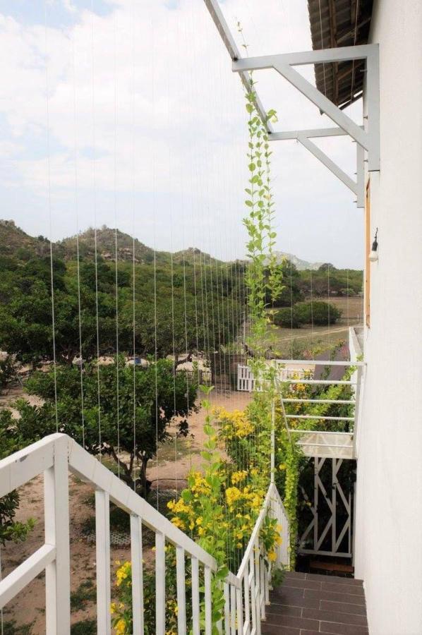 Dao Hoa Vang - Venuestay
