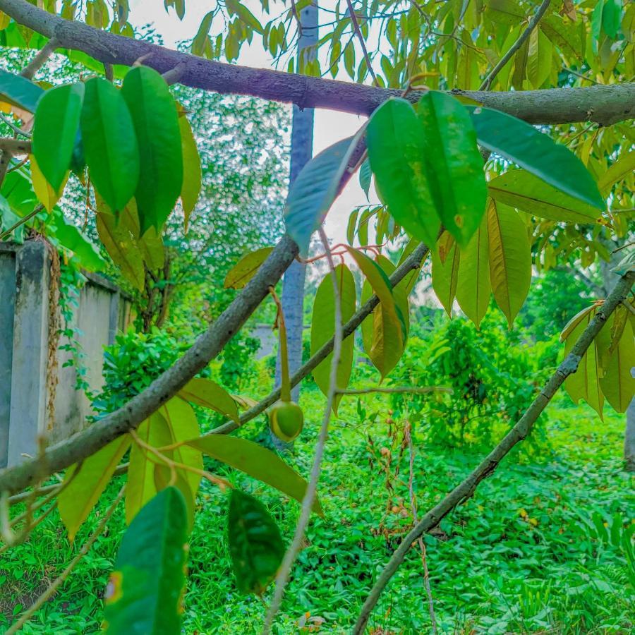 Casa Eco Mekong Resort Can Tho