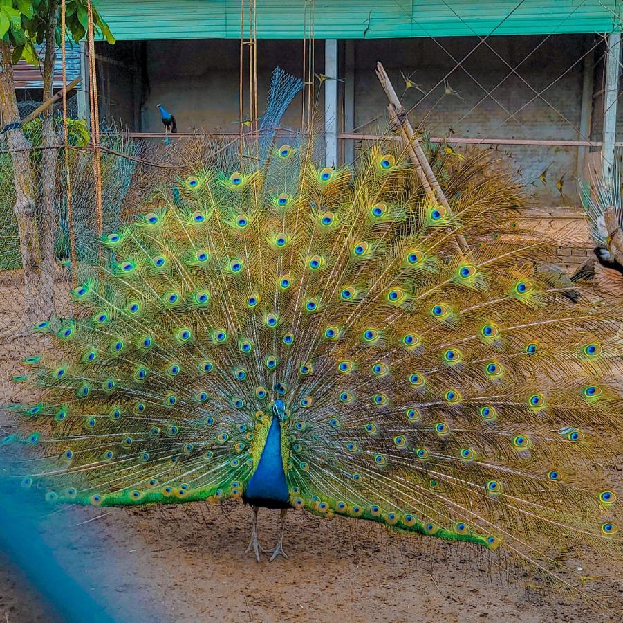 Casa Eco Mekong Can Tho
