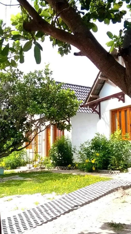 Homestay Dao Hoa Vang - Venuestay