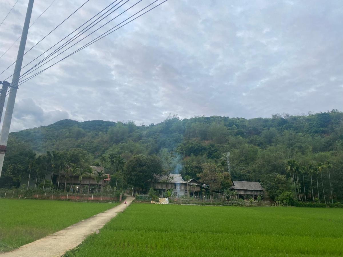Truong Huy Mai Chau