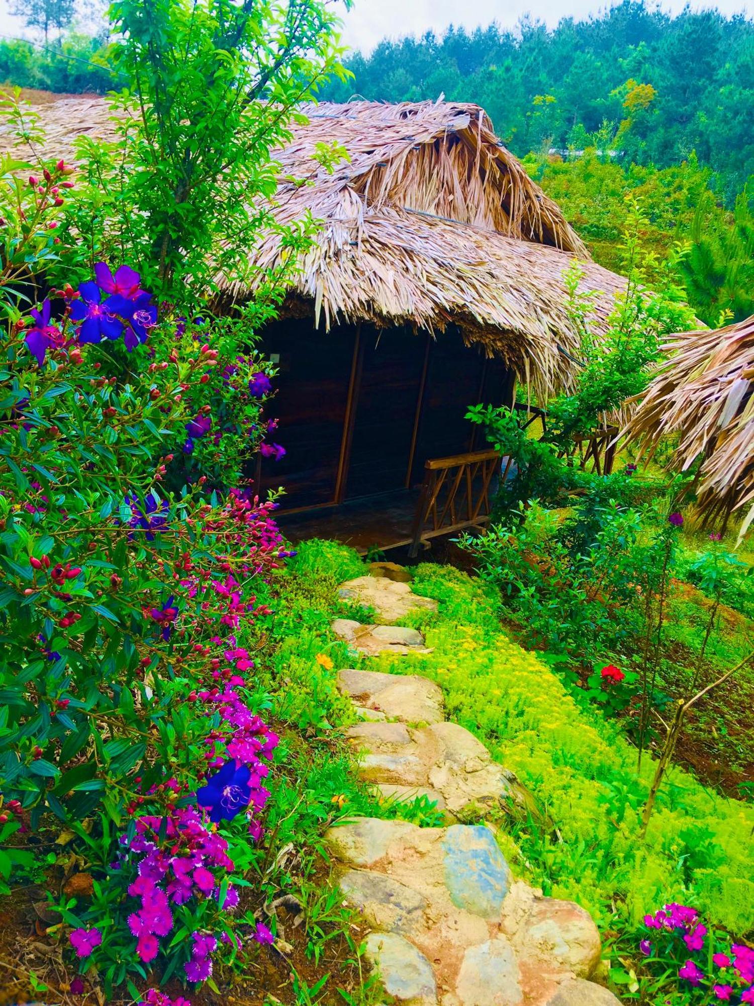 Lodge Hello & Tours *