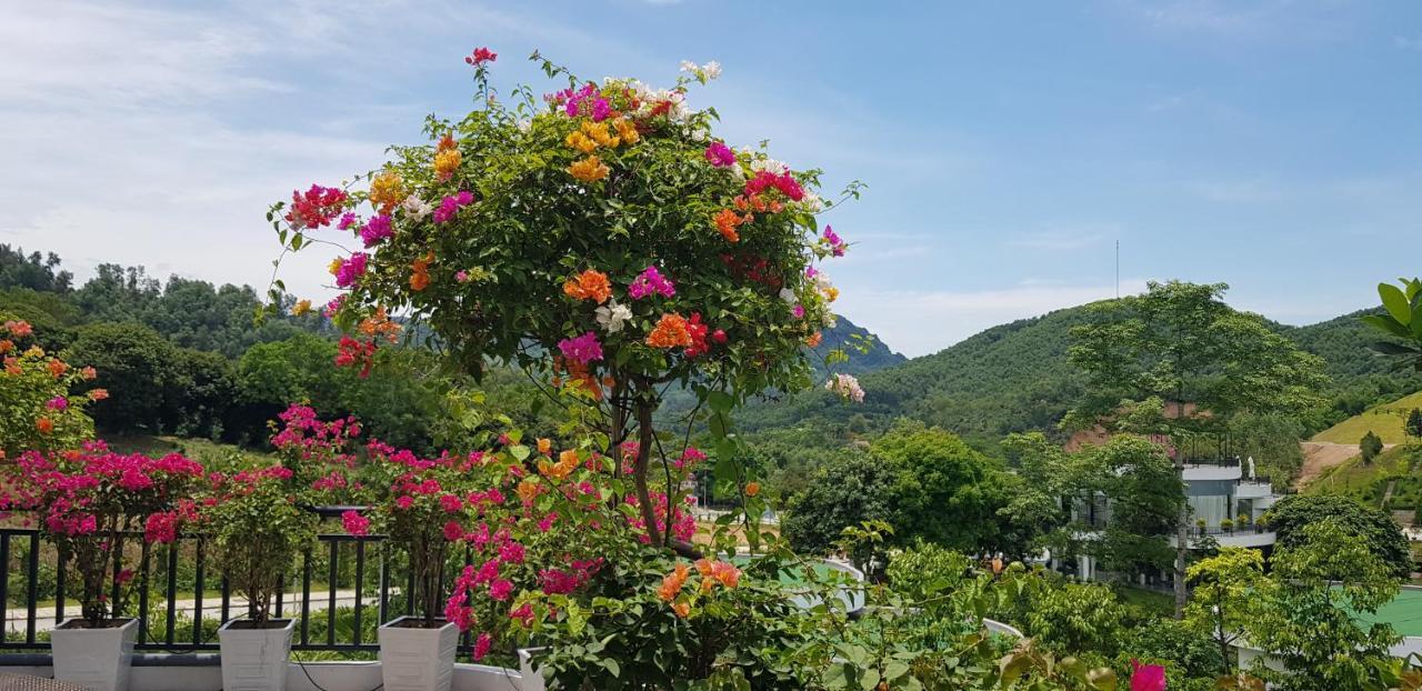 3 Ngủ Ivory * Hoa Binh