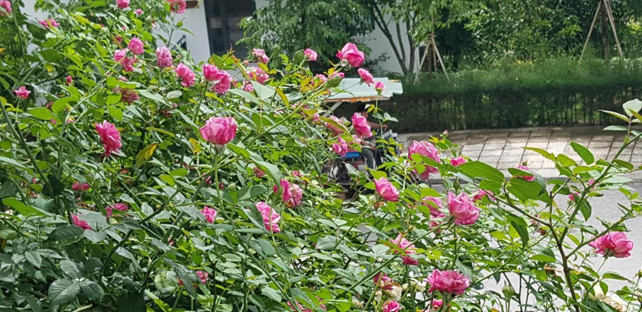 3 Ngủ Ivory Căn hộ *