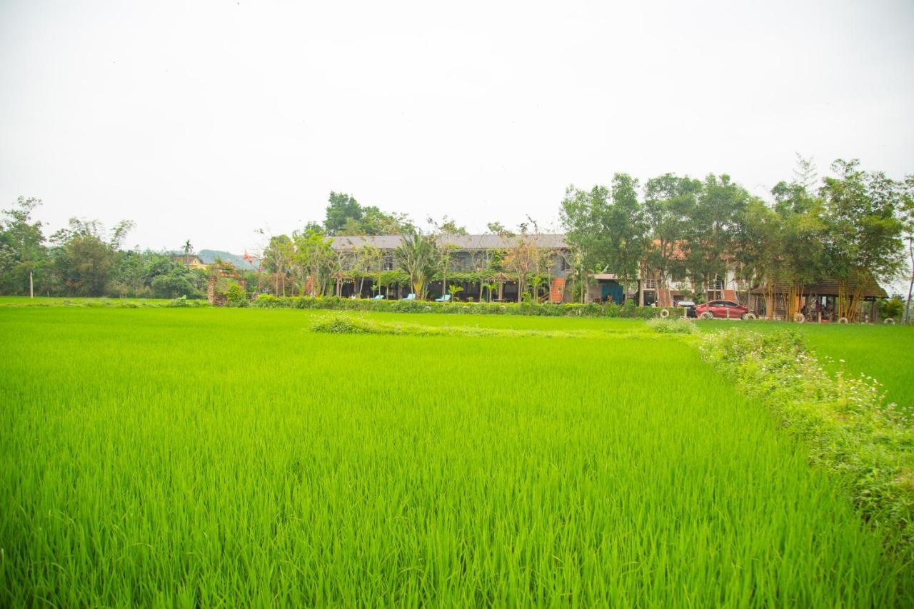 Jungle Boss Travel Homestay Phong Nha
