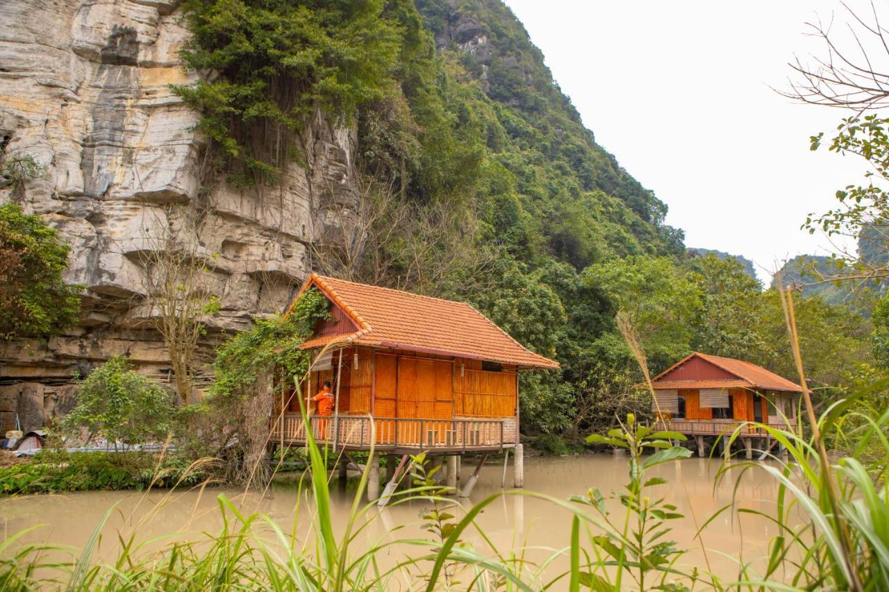Lotus Field * Ninh Binh
