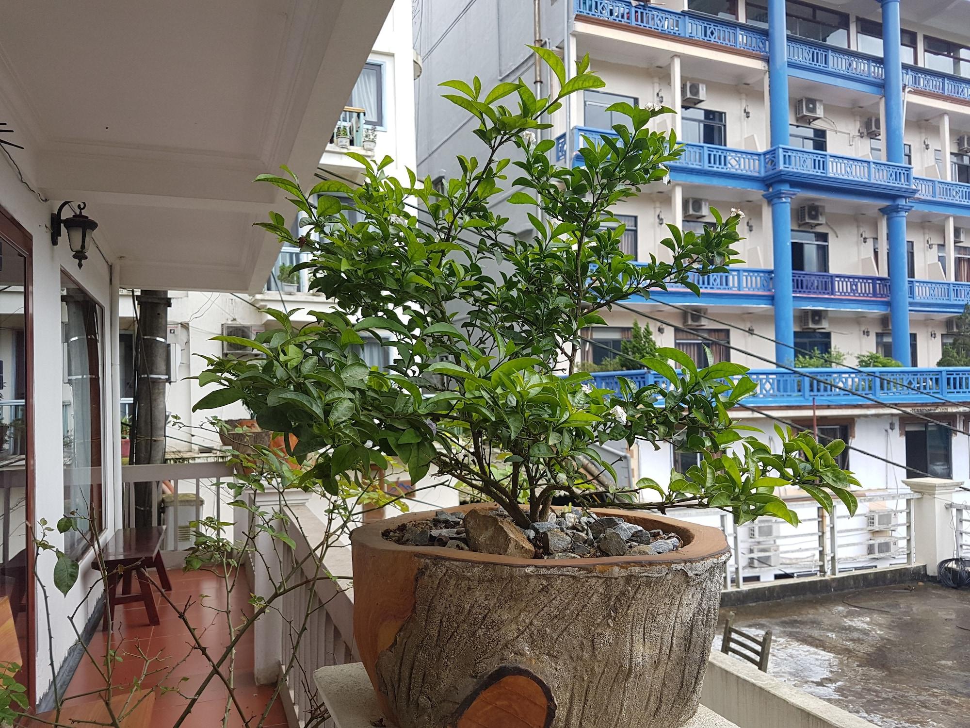 Botanic Khách sạn