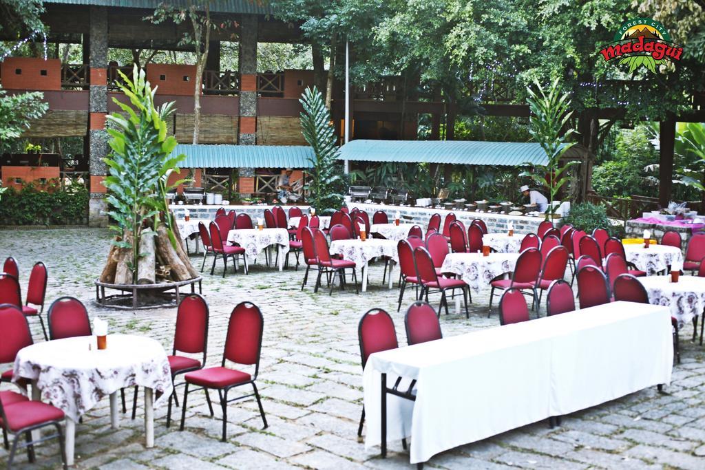 Madagui Forest *