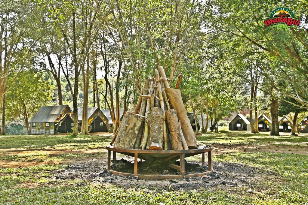 Madagui Forest * Blao Klong Ner