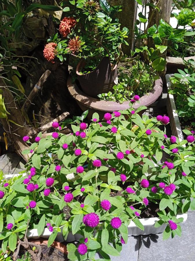 Privatunterkunft Anbang Morning Glory 안방비치 숙소호텔 Hoi An