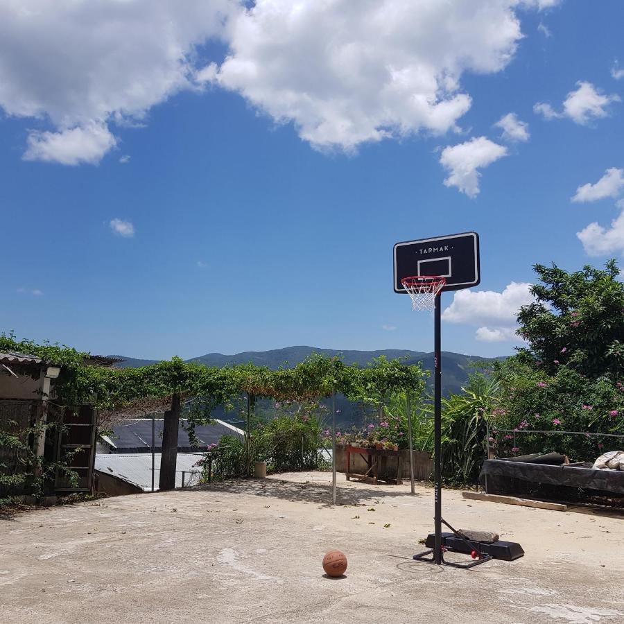 Bauernhof Midori Coffee Farm *