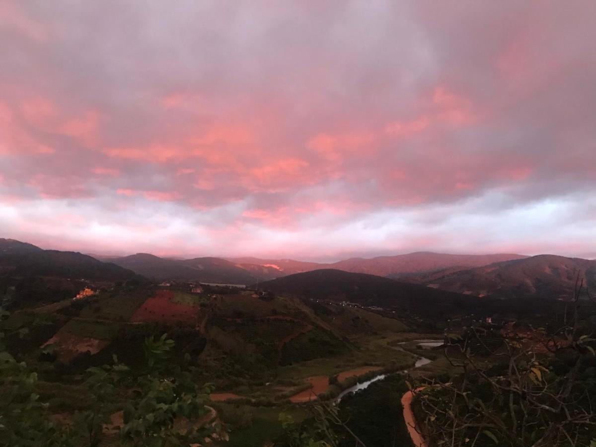 Midori Coffee Farm * Da Lat