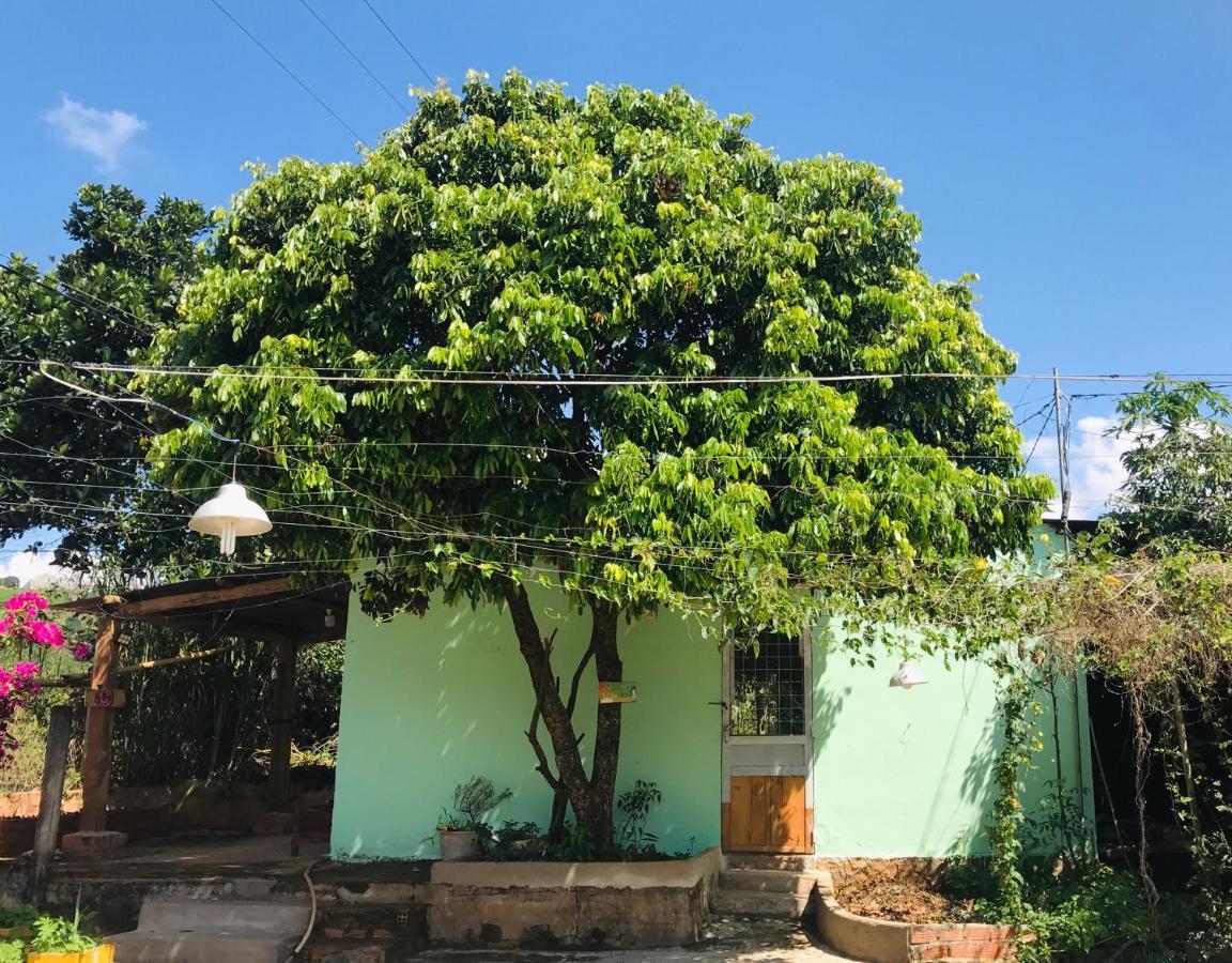 Bauernhof Midori Coffee Farm Đà Lạt