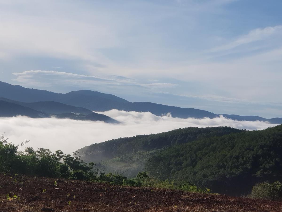 Farm stay Midori Coffee Farm *