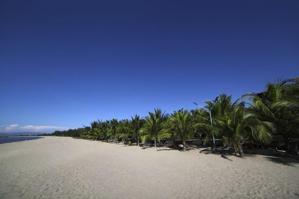 Con Ga Vang 3* Phan Rang