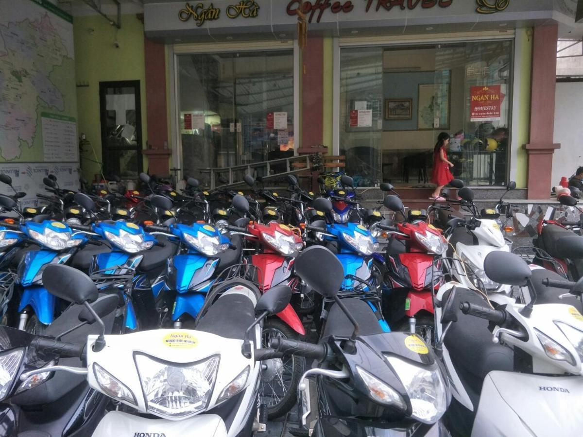 Ngan Ha *