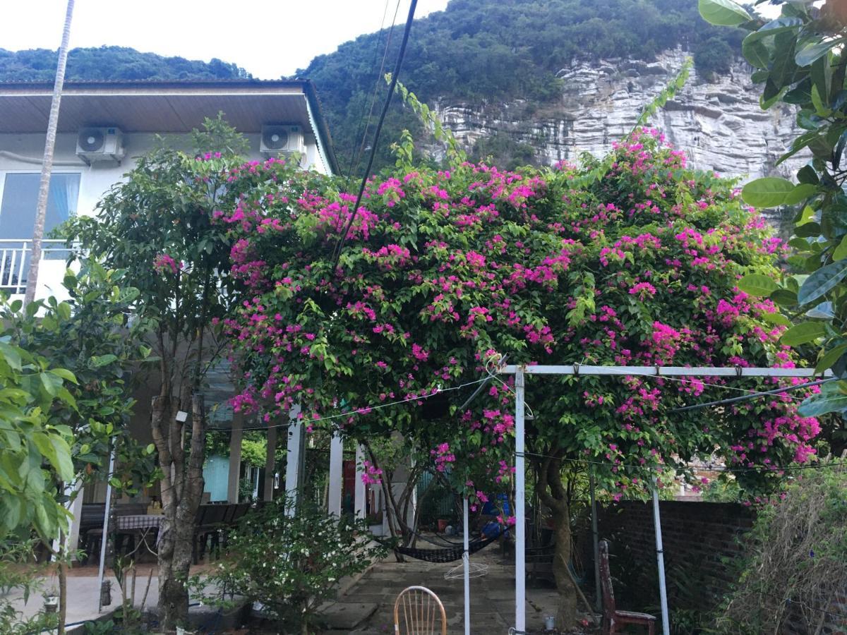 Cat Ba Countryside Privatunterkunft *
