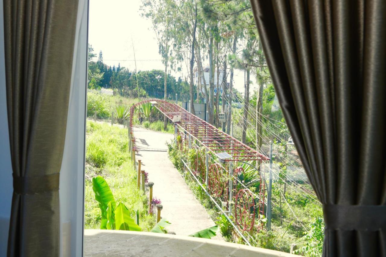 Starview Bed & Breakfast