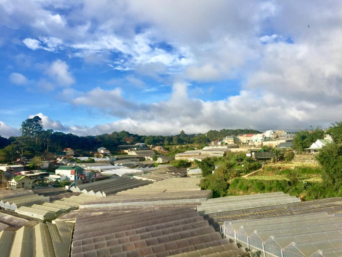 Bed & Breakfast Starview