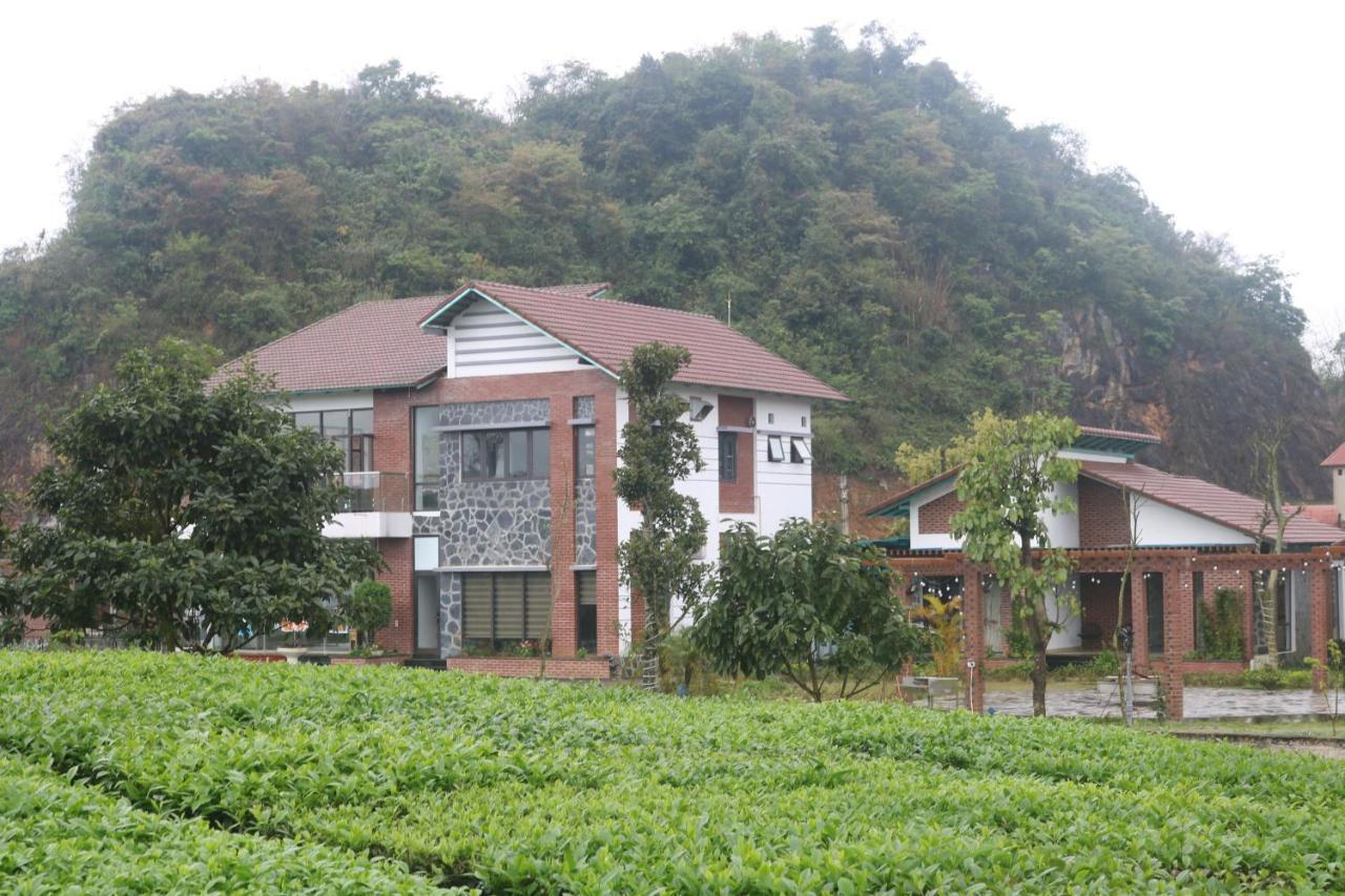 Emopea Moc Chau