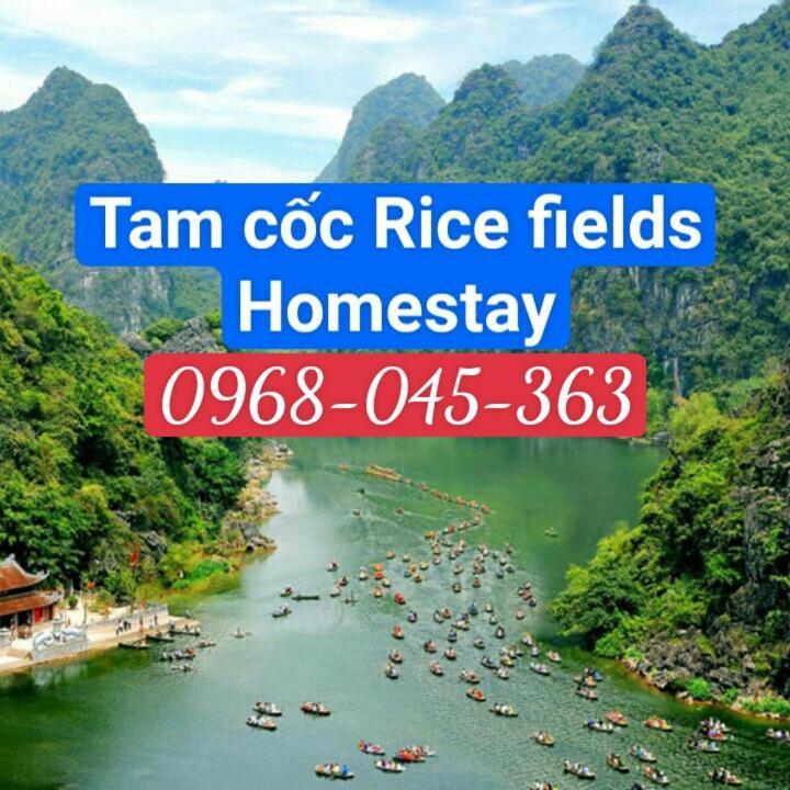 Tam Coc Rice Fields * Ninh Binh
