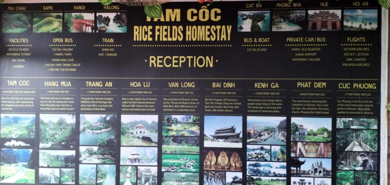 Homestay Tam Coc Rice Fields *