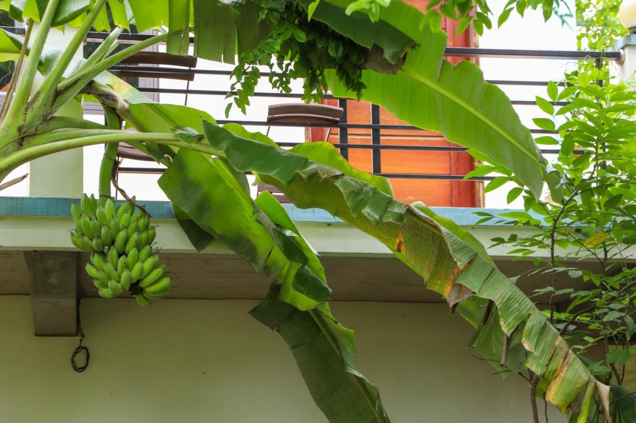 An An Privatunterkunft Phong Nha