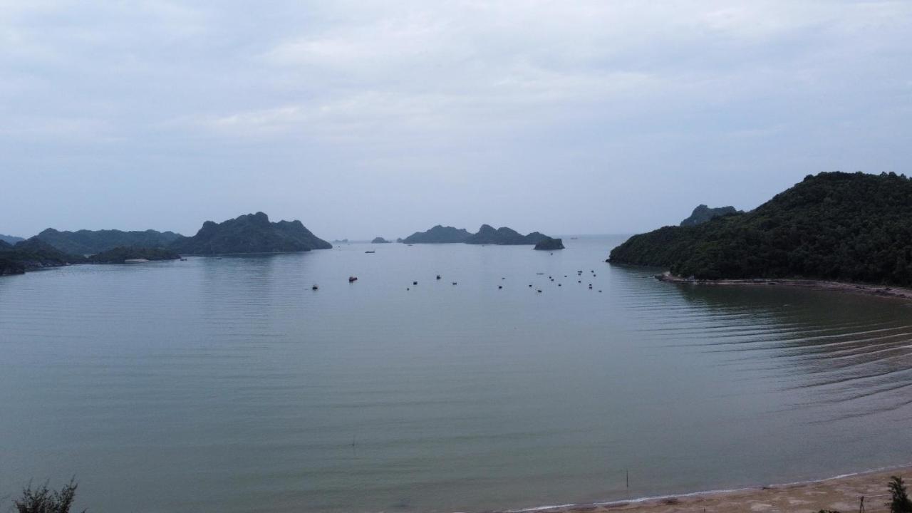 Lodge Green Homestay Chan Chau