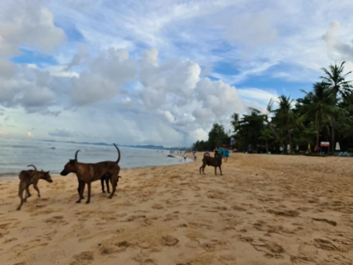 Guest house Kim Lien Phu Quoc